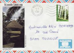 NOUVELLE CALEDONIE NOUMEA 1985 CASE MELANESIENNE FLORE CALEDONIENNE LETTRE PAR AVION STAMP TIMBRE MARCOPHILIE - Storia Postale