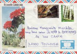 NOUVELLE CALEDONIE NOUMEA 1984 POINSETTIA ORCHIDEES FLORE CALEDONIENNE LETTRE PAR AVION STAMP TIMBRE MARCOPHILIE - Brieven En Documenten