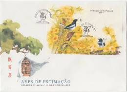 MACAU 1995     AVES DE ESTIMAÇÃO     BIRDS OF ESTEEM     OISEAUX D'ESTIMATION Copsychus Saularis - FDC