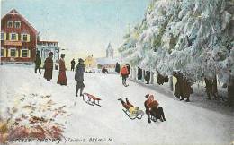 Avr13 87 : Feldberg  -  Grosser  -  Taunus  -  Luge  -  Sport D'hiver - Feldberg