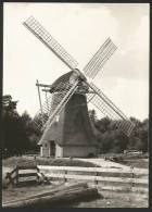 POLDERMOLEN Noordlaren Groningen Haren 1966 - Haren