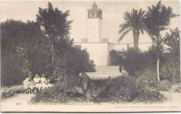 Tunisie - TUNIS - Le Bardo - Mosquée Et Jardin - Túnez