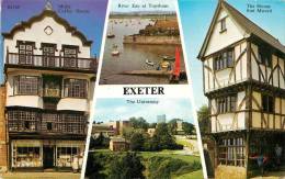 EXETER - Exeter