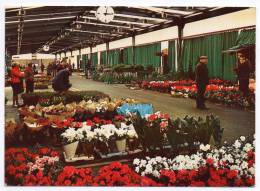 94 - Rungis - Marché D'intérêt National - Le Pavillon Des Fleurs En Pots - (Architecte Colboc) - Mercados