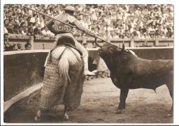 Corrida Picador Toro De Pablo Romero  ,ed  Photo Reporter Bordeaux - Stierkampf