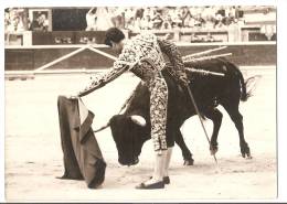 Corrida Naturelle , Jaime Ostos   ,ed  Photo Reporter Bordeaux - Corridas