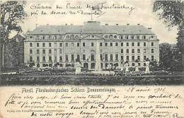 Avr13 123 : Fürstl. Fürstenbergisches Schloss Donaueschingen - Donaueschingen