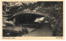 Nederland/Holland, Apeldoorn, Berg En Bos, Tunnel, Ca. 1950 - Apeldoorn