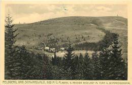 Avr13 137 : Feldberg  -  Bad Schwarzwald - Feldberg