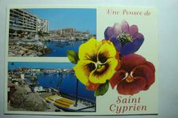 D 66 - Une Pensée De Saint Cyprien - Saint Cyprien
