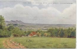 GLOS - VIEW FROM THE COTSWOLD HILLS NEAR BIRDLIP By V A Wright - Andere & Zonder Classificatie