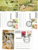 South-west Africa 1977 Crocodiles, Giant Eagle Owl, Steenbuck, Entire Postal Stationery - FDC
