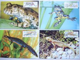 Tschechoslowakei CSSR 3007/10 Maximumkarte MK/MC, WWF,  Amphibien - Brieven En Documenten