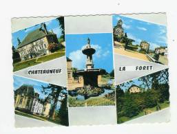 CHATEAUNEUF LA FORET - 40-26 - Chateauneuf La Foret