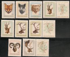 FAUNA - TROPHÈES DE CHASSE -  1966 HUNGARY  Yvert # 1843/51 ** Mint Nh Complete Set - Gorilas