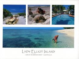 (355) Australia - QLD - Lady Elliot Island - Great Barrier Reef