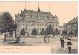 NAUMBURG A. S . Rathaus - 3120 Bruck Et Sohn, Meissen - Burgenland