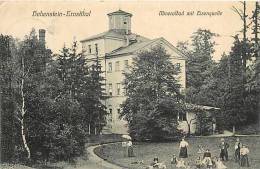 Avr13 249 : Hohenstein-Ernstthal  -  Minerlbad Mit Eisenquelle - Hohenstein-Ernstthal