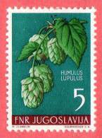 JUGOSLAVIA  - Nuovo  - 1955 - Fiori - Flowers - Fleurs - Blumen - 5 - Unused Stamps