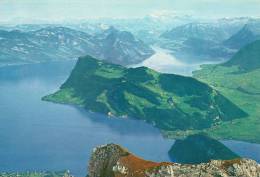 Switzerland   Pilatus  - Blick Auf Bürgenstock Und Vierwaldstätter See.  A-1846 - Wald