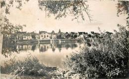 CHOUZE SUR LOIRE VUE PANORAMIQUE SUR LA LOIRE - Autres & Non Classés