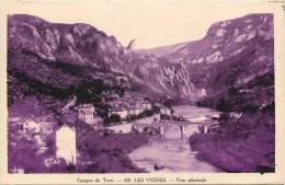 LES VIGNES VUE GENERALE CARTE DE COULEUR VIOLETTE - Sonstige & Ohne Zuordnung