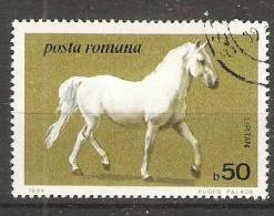 Romania 1984  Horses  (o) - Gebraucht
