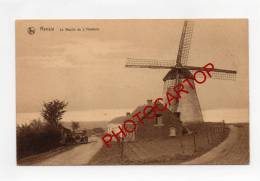 MOULIN A VENT-WINDMUEHLE-RENAIX-moulin De L'Hootond-BELGIEN-BELGIQUE - Renaix - Ronse