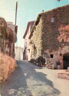 LOURMARIN         RUE DU PANIER - Lourmarin