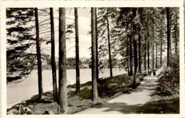 AK Hahnenklee-Bockswiese, Kurpromenade, Gel 1956 (Menschen) - Goslar