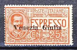 Venezia Giulia 1919 Espresso N. 1 C. 25 Rosso MLH Cat. € 240 - Venezia Giuliana