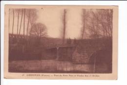 CP N°25 - LUSIGNAN - Pont Du Petit Parc Et Viaduc Des 13 Arches - Lusignan