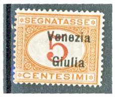 Venezia Giulia 1918 Segnatasse SS 4 N. 1 C. 5 Arancio E Carminio MNH Cat. € 40 - Venezia Giuliana