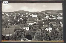 Delcampe - DISTRICT D´ORBE /// ORBE - TB - Orbe