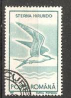 Romania 1991  Birds  (o) - Used Stamps