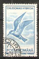 Romania 1991  Birds  (o) - Used Stamps