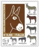 2007 - Italia 3037 Razze Di Asini ---- - Donkeys