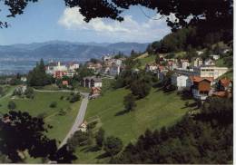 Kurort Walzenhausen Blick Ins Vorarlberg - Walzenhausen