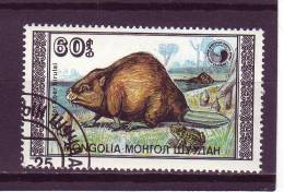 Mongolie YV 1632 O 1989 Castor - Nager