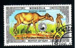 Mongolie YV  1477 O 1986 Antilope Saiga - Animalez De Caza