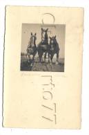 Limburg An Der Lahn (Allemagne, Hesse) : GP De Trois Chevaux Au Labour In 1932. - Limburg