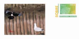 BIRDS Pre-paid Envelope 63 - Colecciones & Series