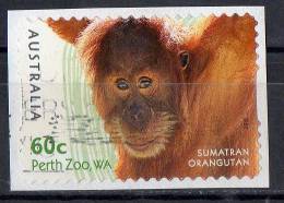 Australia 2012 Zoos 60c Orangutan Self-adhesive Used - Oblitérés