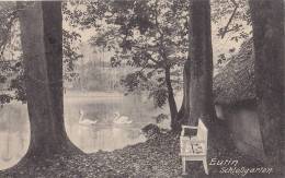 Eutin, Parkbank Im Schlossgarten Mit Schwänen, Um 1910 - Eutin