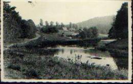 HERBEUMONT « La Semois En Amont Du Moulin Willaimes » - Nels 1963 - Herbeumont