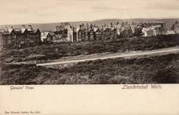 Llandrindod Wells 1905 Postcard - Radnorshire