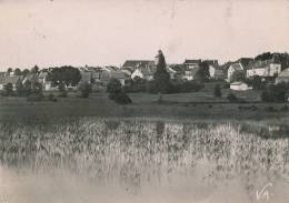 CLAIRVAUX - Vue Générale (1952) - Clairvaux Les Lacs