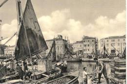 VENETO  - CHIOGGIA (Venezia) - Il Mercato Del Pesce - Chioggia