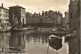 VENETO  - CHIOGGIA (Venezia) - Torre Del Duomo  (barche E Bragozzi) - Chioggia