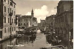 VENETO  - CHIOGGIA (Venezia) - Canal Vena  8barche E Bragozzi) - Chioggia